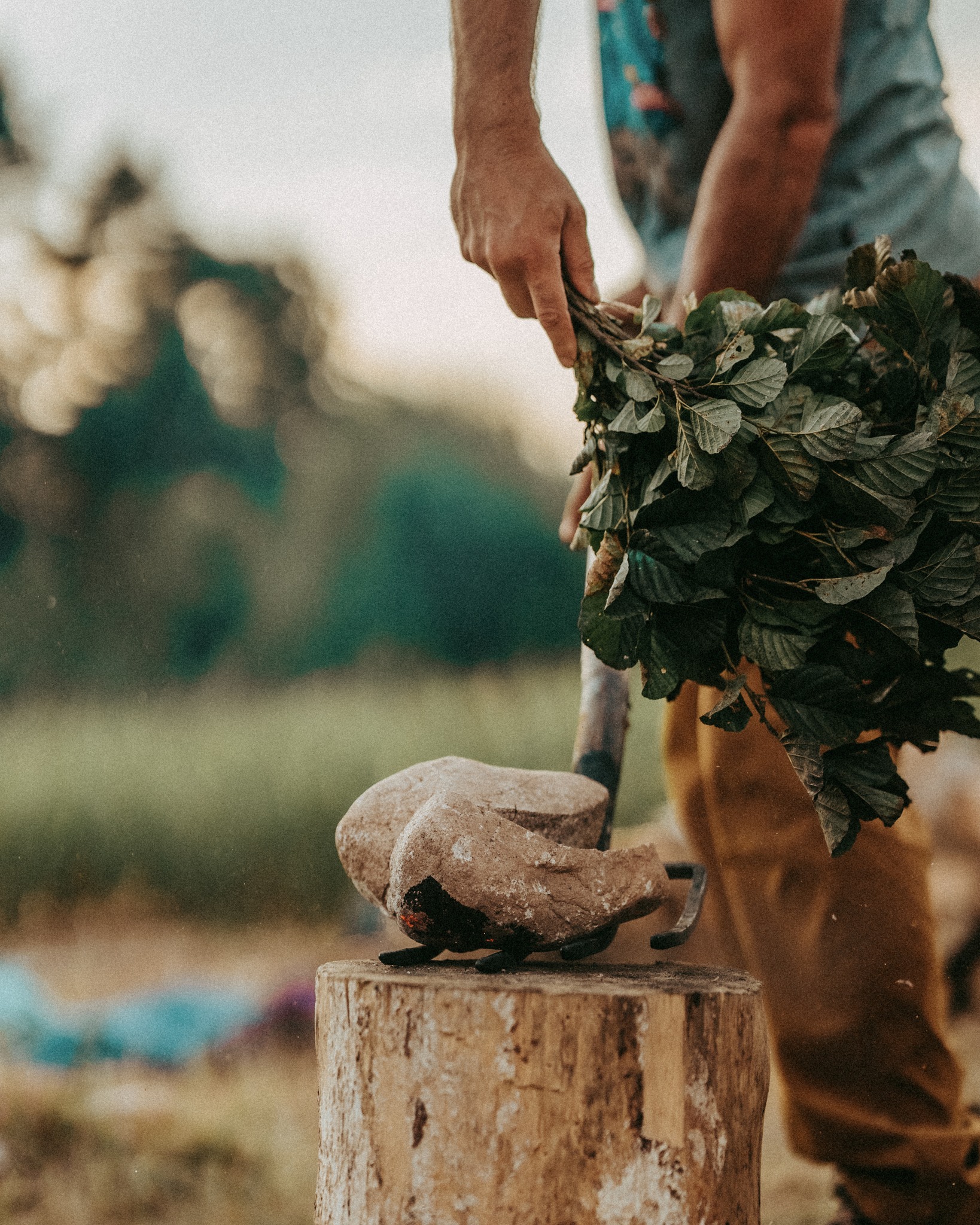 Hands with herbs and stone